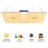 Spider Farmer SF2000EVO LED-Wachstumslicht Samsung LM301H EVO mit dimmbarem Treiber für Veg Bloom Flower Plants Hydroponics Grow