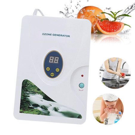 600 mg/h Ozongenerator, digitaler Ozongenerator, Ozonentgiftungsmaschinen für Obst, Gemüse, Fleisch, Süßwasser, Hydrokultur