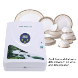 600 mg/h Ozongenerator, digitaler Ozongenerator, Ozonentgiftungsmaschinen für Obst, Gemüse, Fleisch, Süßwasser, Hydrokultur