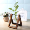 Vintage Glas Transparent Pflanze Bonsai Weihnachtsdekorationen Vase Holzrahmen Hydrokultur Yard Pot Wohnaccessoires