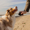 Ferplast Hunde Spielzeug, Hundeball, aus strapazierfähigem, ungiftigem, bissfestem Material, für die Zahnhygiene des Hundes,