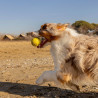 Ferplast Hunde Spielzeug, Hundeball, aus strapazierfähigem, ungiftigem, bissfestem Material, für die Zahnhygiene des Hundes,