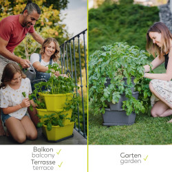 GUSTA GARDEN Paul Potato Kartoffelturm 4 Etagen Anthrazit - Hochbeet Turm Kartoffeln - Garten & Balkon - Schädlingsschutz -