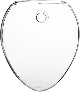 Hydroponische Ampeln Pflanzengefäßen Blumentopf Behälter Hängende Glasvasen Zwiebel Form Luft Anlage Terrarium Für Wasser Pflanzer Wand Wasserkultur (6) Transparent Test 2025