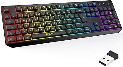 KLIM Chroma Wireless Gaming Tastatur Kabellos QWERTZ DE – RGB Beleuchtet, Leise & Ergonomisch, Langlebig & Wasserdicht – Für PC, Mac, PS4, PS5 – Schwarz Test 2025