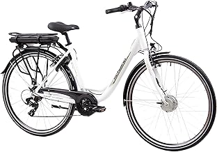 F.LLI Schiano E-Moon, E Bike für die Stadt, 36V 14.5Ah Abnehmbarer Akku, Motor 250W 40Nm, City Ebike für Herren und Damen Test 2025