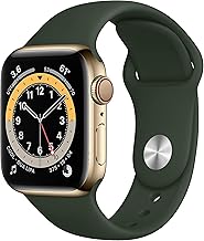 Apple Watch Series 6 (GPS + Cellular, 40 mm) Edelstahlgehäuse Gold, Sportarmband Zyperngrün Test 2025