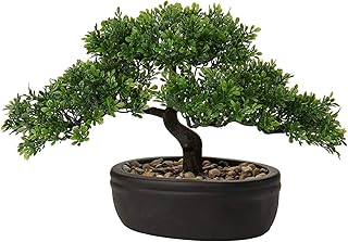 Briful Kunstbonsai Naturgetreue Künstliche Pflanze Kunstbaum Bonsai Zeder Kiefer Podocarpus Plastik Pflanze Kunstpflanze mit Keramik-Übertopf in Schwarz für Baddeko Desktop Büro Fensterbank Test 2025