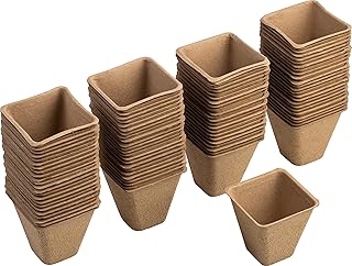 Meister Anzuchttöpfe 8 x 8 cm - Praktisches Set mit 96 Stück - Aus Papierzellstoff - Biologisch abbaubar, Pflanztopf, Saattopf, Pflanzenanzucht, WU9968330 Test 2025