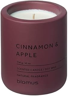 blomus Duftkerze -FRAGA- aus Beton | Farbe Port | Duft Cinnamon & Apple | Ø6,5 x 8H cm | 100% nachhaltiger Sojawachs Test 2025