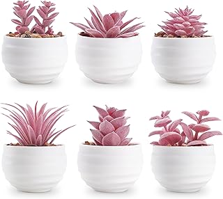 Der Rose 6 Stück Rosa Sukkulenten Pflanzen Künstliche in Töpfen Kleine Gefälschte Pflanzen für Rosa Zimmer Dekor Büro Schreibtisch Schlafzimmer Wohnzimmer Dekor Indoor (Grün) Test 2025