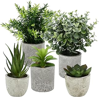 5 Stück Kunstpflanze, Mini Künstliche Pflanzen Schlangenzunge, Agave Sukkulente, Eagle Claw Aloe, Künstliche Pflanzen für Schlafzimmer Büro Dekoration