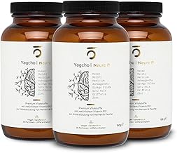 Yagcho – Ashwagandha Komplex 450g I Mit Reishi, Rosenwurz & Cordyceps I Ohne Zusatzstoffe – vegan & laborgeprüft I Adaptogene Kombination für deinen Alltag – Nahrungsergänzung Test 2025
