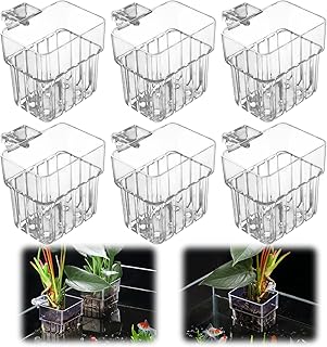 6 Stück Aquarium Pflanzenhalter, Transparent Pflanzenständer für Aquarien, Hängender Pflanzkörbe Wassertank mit LöChern, Wasserpflanzenhalter Deko Pflanzentopf für Fisch Tank Aquaponic Test 2025
