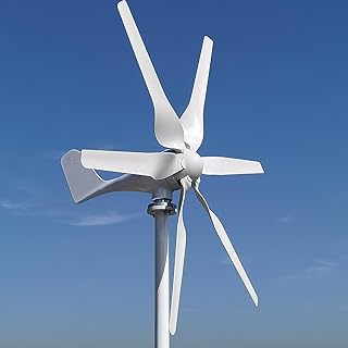 Windkraftanlage 800W mit MPPT Laderegler, 3-Phasen AC Horizontale Windturbine, 6-Blatt Windmühle für Haus & Bauernhof 12V 24V 48V (12, Volt) Test 2025