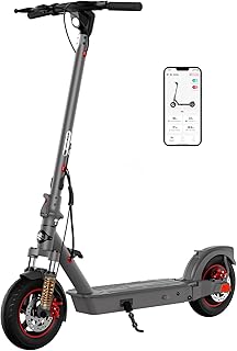 SISIGAD E Scooter 10 Zoll Elektro Roller Erwachsene mit Doppel Federung und App, Electric Scooter Adult 450W Motor 36V 10.4AH Batterie 20km/h Geschwindigkeit, E Roller mit Doppelbremse Stoßdämpfer Test 2025
