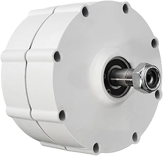 800W Permanentmagnet Generator 12V 24V 48V – 3-Phasen Getriebeloser Dynamo für Windkraftanlage DIY & Freie Energie Projekte (without-12V)