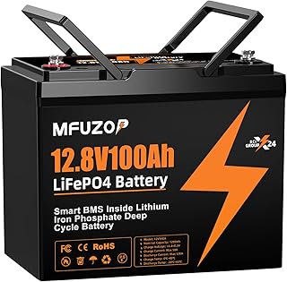 12V100Ah LiFePO4 Lithium Batterie, 100A BMS, MAX 1280W Leistung, 8000-15000 Zyklen Deep Cycle Lithium Batterie Akku, Unterstützt Serien/Parallelschaltung, für Wohnmobil, Solar Home System Test 2025