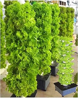 Hydroponisches Anzuchtsystem, Aquaponic Tower Kit für Kräuter, Obst, Gemüse, 45 Löcher Setup mit Trinkpumpe und Netztopf Test 2025