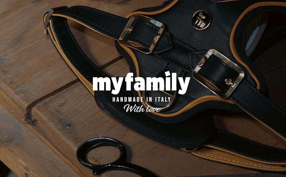 Banner Made in Italy